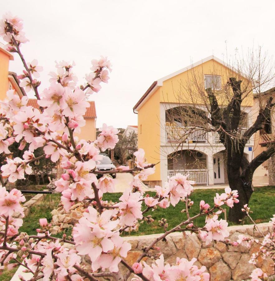 Apartmani Mala Sirena Maslenica Exterior foto
